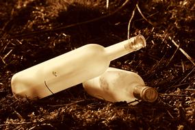 two empty bottles in dry grass