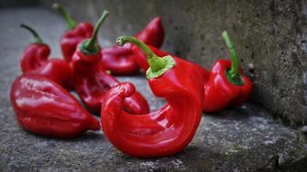 twisted red peppers on a gray stone