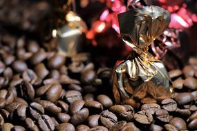 closeup view of Coffee Grain Food