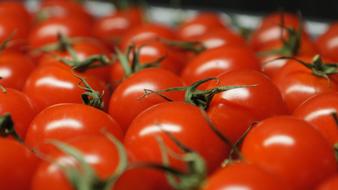 wonderful Tomatoes Vegetables