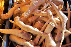 Parsley Root