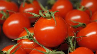 red biological tomatoes