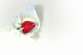 ripe strawberries in milk