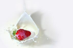 strawberry falling in Milk