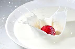 strawberries falling into a bowl of milk