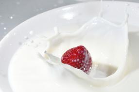 dainty Milk White Food