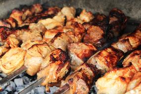 meat on skewers on charcoal close-up