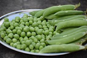 Fresh Organic green peas on the plate