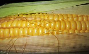 appetizing weet Corn Vegetable