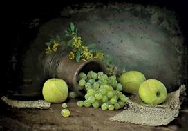 vintage still life with green fruits and grapes