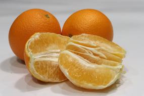 appetizing Orange Three