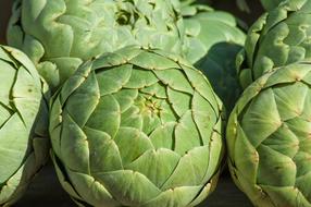Artichokes, raw Vegetable