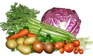 Vegetables Food Celery drawing