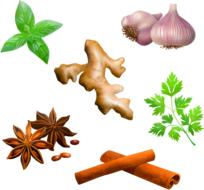 painted fragrant spices on a white background