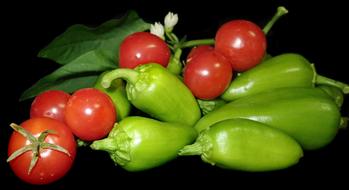 green paprika and tomatoes