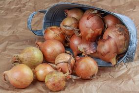 appetizing Onion Bag Jute