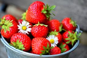 Strawberries Fruits