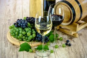 White Wine in Glass