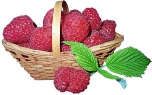 Raspberries Fruit in Basket