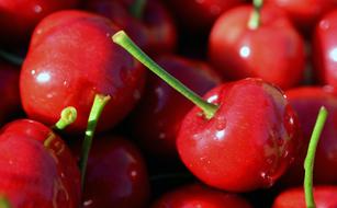 closeup view of glossy splendid Red Cherries