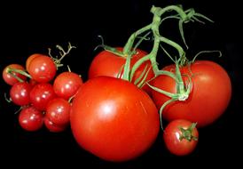 Tomatoes Food