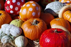 autumn Pumpkin for Halloween