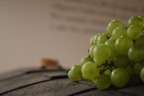 appetizing Grapes Vine