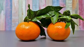 two tangerines with green leaves