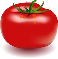 red tomato in drops of water