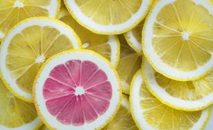 pink Lemon slice at pile of yellow ones