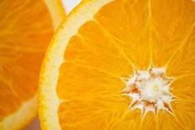 macro photo of sliced orange