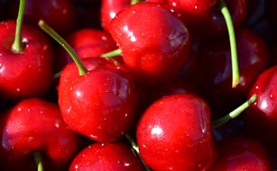 macro photo of ripe cherries