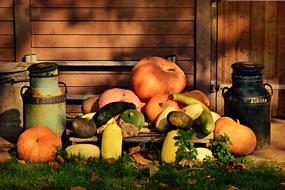 Pumpkin Vegetable Food harvest