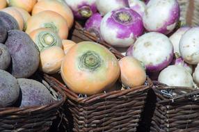 Turnips Garden