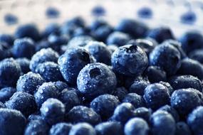 drops of water on ripe blueberries