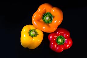 three multi-colored ripe peppers on a black background