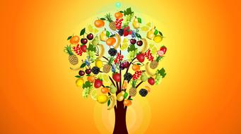 fruit tree health vitamins drawing