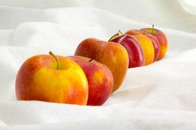 ripe colorful apples on a white tablecloth