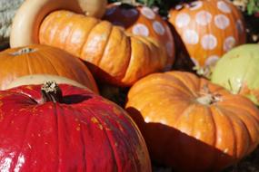 color Pumpkin Halloween Decoration