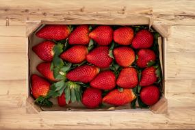 strawberries in a container on the table