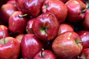 red Apple Fruits Harvest