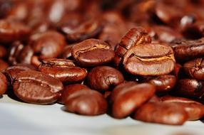 brown roasted coffee seeds