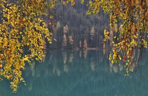 scenery of a lake in autumn