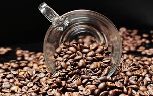 transparent cup among coffee beans