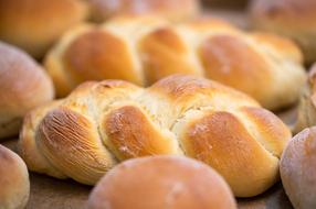 Bread Bake