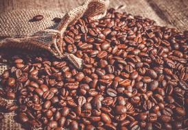 appetizing fresh Coffee Beans