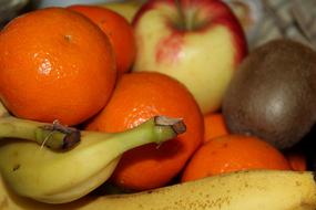 Different colorful ripe fruits