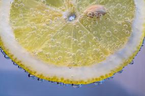 lemon slice in sparkling water
