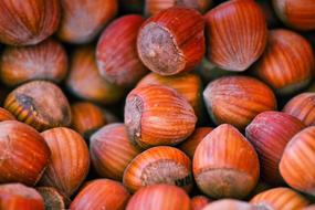 beautiful Hazelnuts Nuts