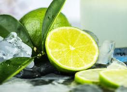 cut lime and ice Close up